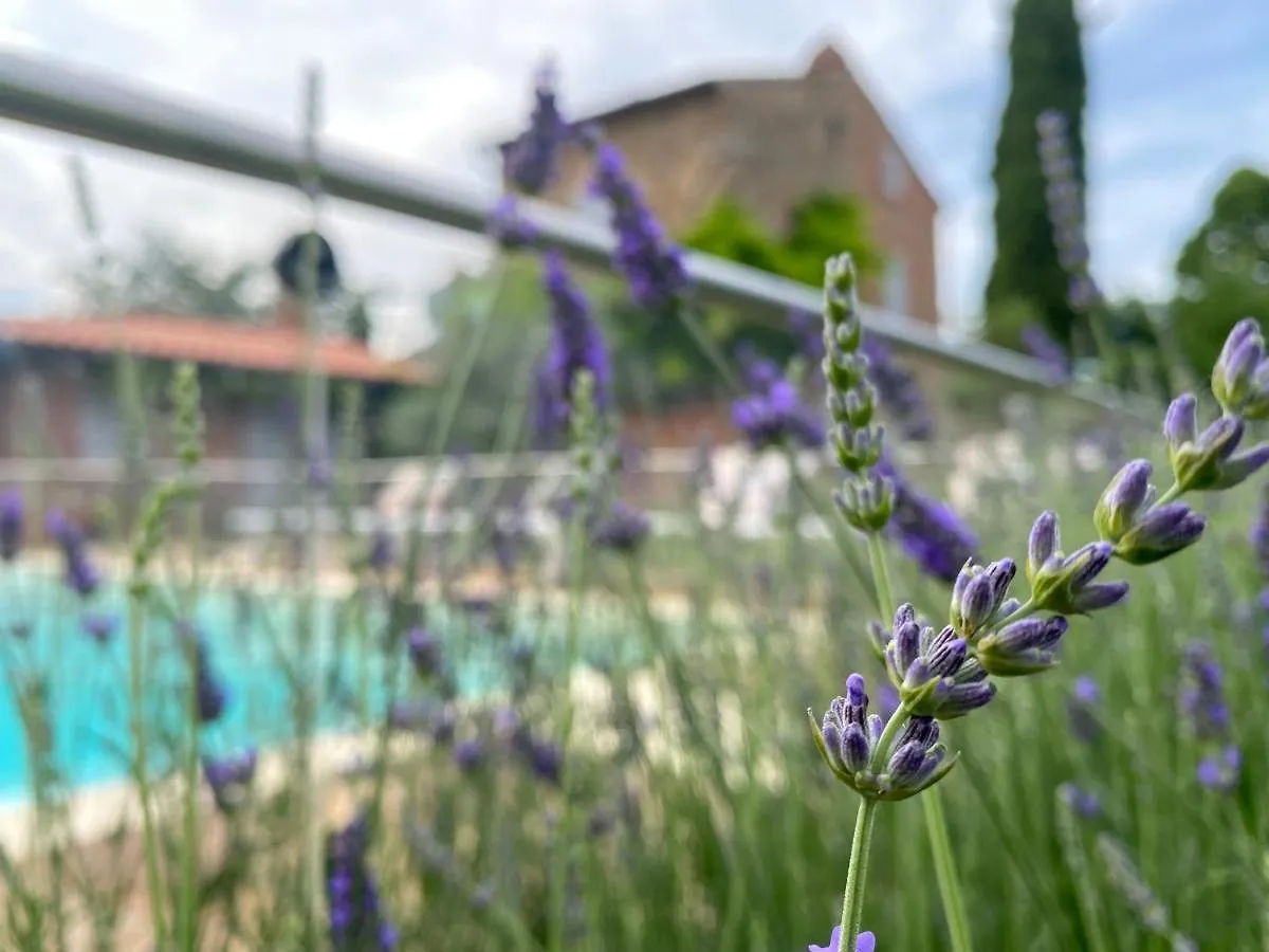 La Bacaia Villa Marciano della Chiana Holiday home